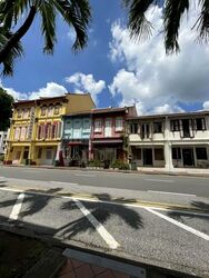 Bukit Pasoh Conservation Area (D2), Shop House #578656901